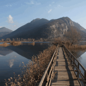 Lombardia-Ponte-nelle-torbiere-del-lago-di-Iseo.gif