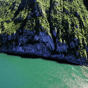 Unbenannt17.gif