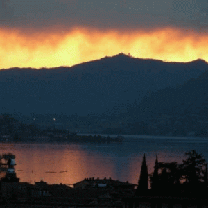 questa-la-adoro.gif